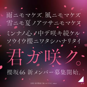 櫻坂46、新メンバーオーディション開催決定！キャッチコピーは「君ガ咲ク。」